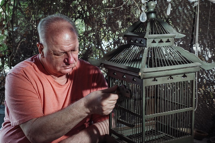 Demencias corticales. Caracterización psicoconductual y neurobiológica