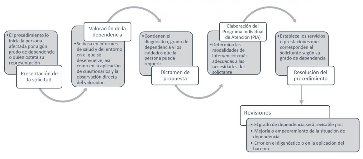 Fases del reconocimiento de la situación de dependencia