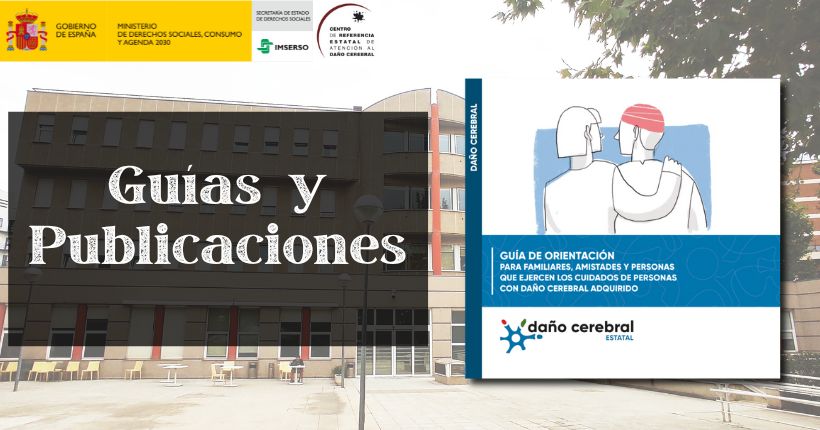 Guía de Orientación para Familiares, Amistades y Personas que ejercen los Cuidados de Personas con Daño Cerebral Adquirido