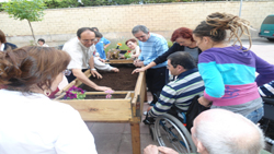 El grupo en el huerto del CREER