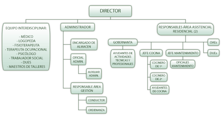 Organigrama del equipo profesional