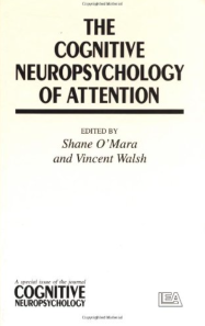 Foto de la portada del libro.